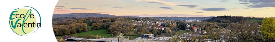 Inscriptions aux alertes risques majeurs